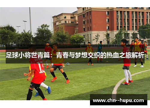 足球小将世青篇：青春与梦想交织的热血之旅解析