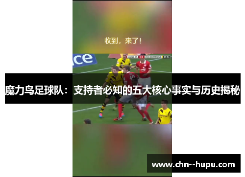 魔力鸟足球队：支持者必知的五大核心事实与历史揭秘