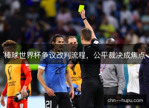 棒球世界杯争议改判流程，公平裁决成焦点